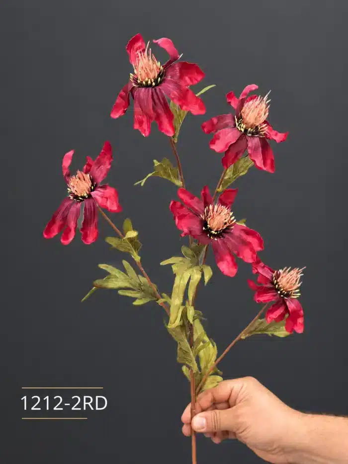 Anemone 1212-2