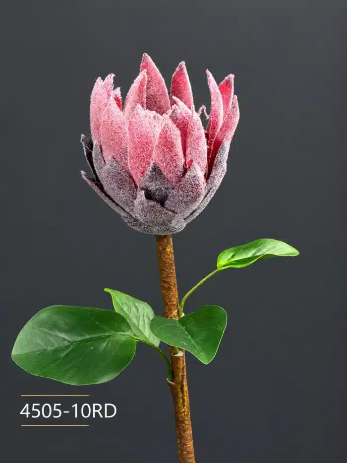 Protea 4505-10