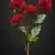 MA6451-7 Red