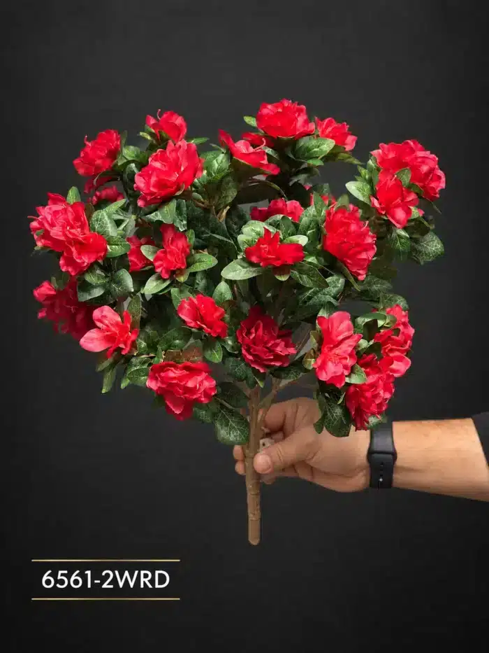 Azalea Bush 6561-2