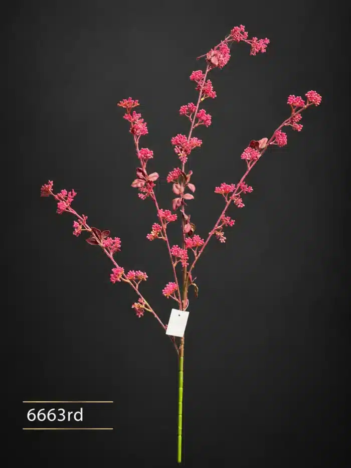 Astilbe Spray 6663