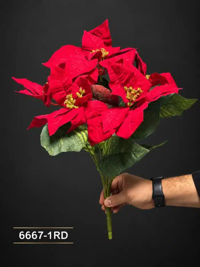 Poinsettia Bush 6667-1
