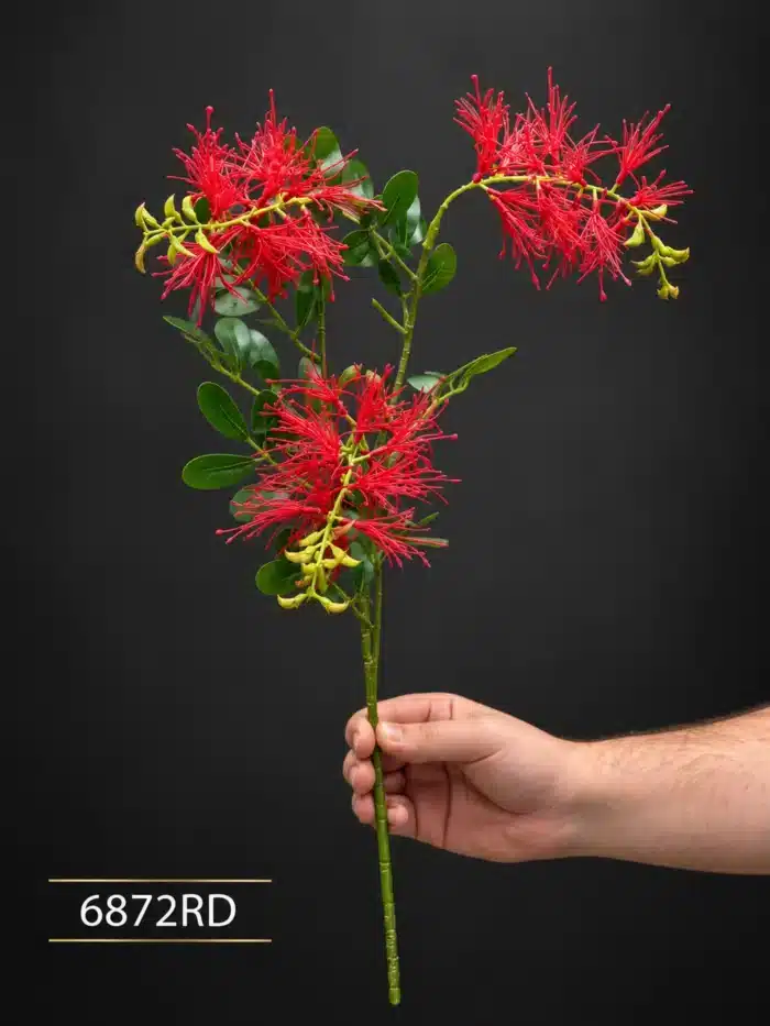 Bottlebrush Stem 6872