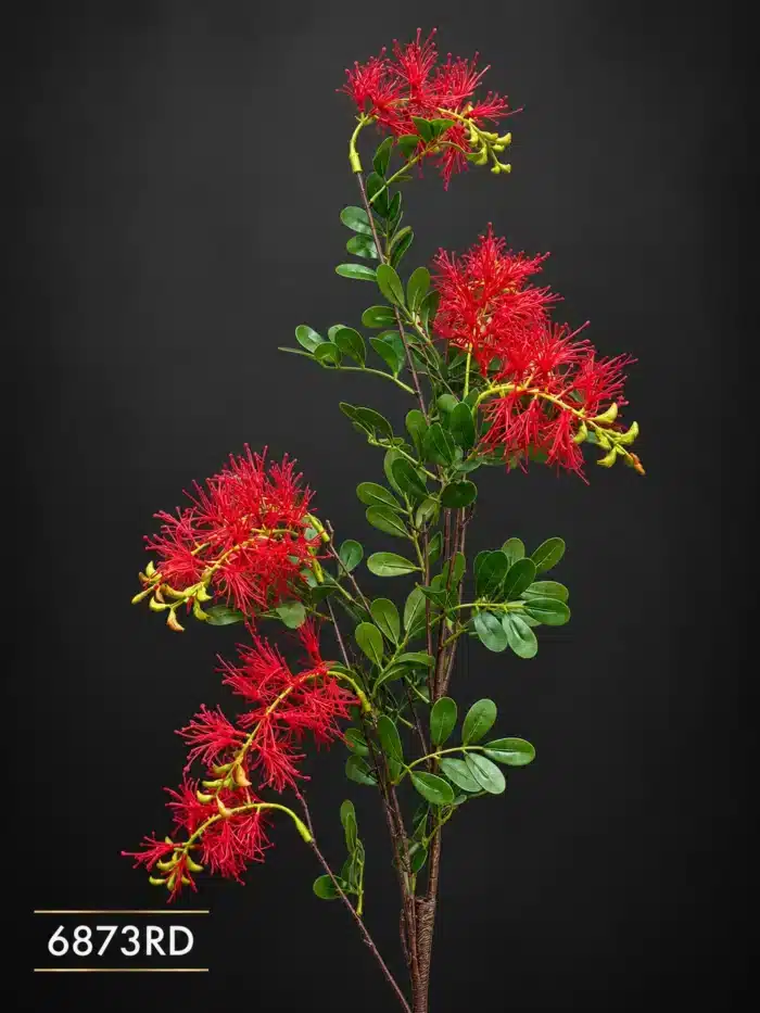 Bottlebrush Branch 6873