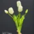 MA1437-13 White