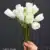 MA1437-15 White