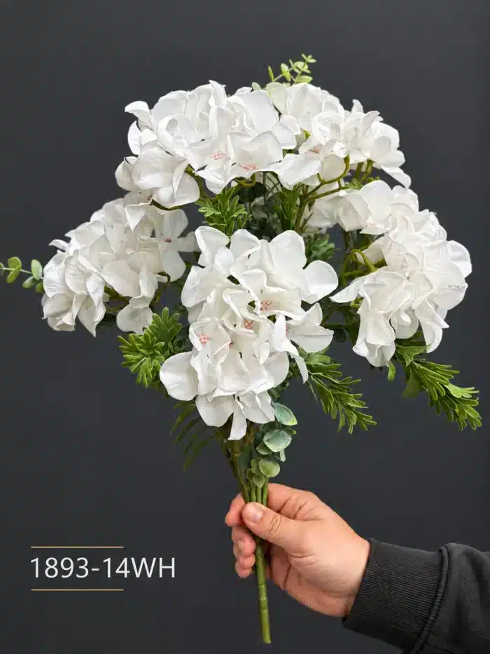 Hydrangea 1893-14