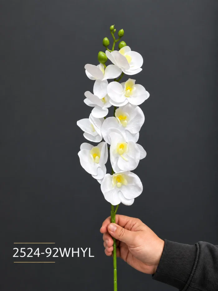Orchid 2524-92