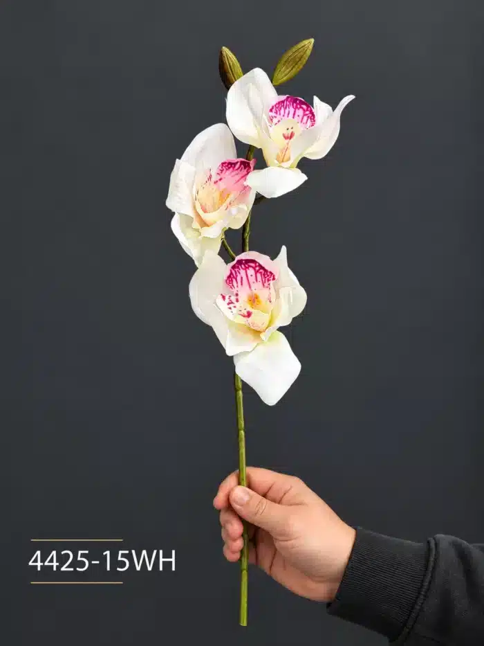 Cymbidium Orchid 4425-15