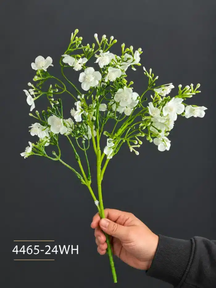 Babysbreath -4465-24