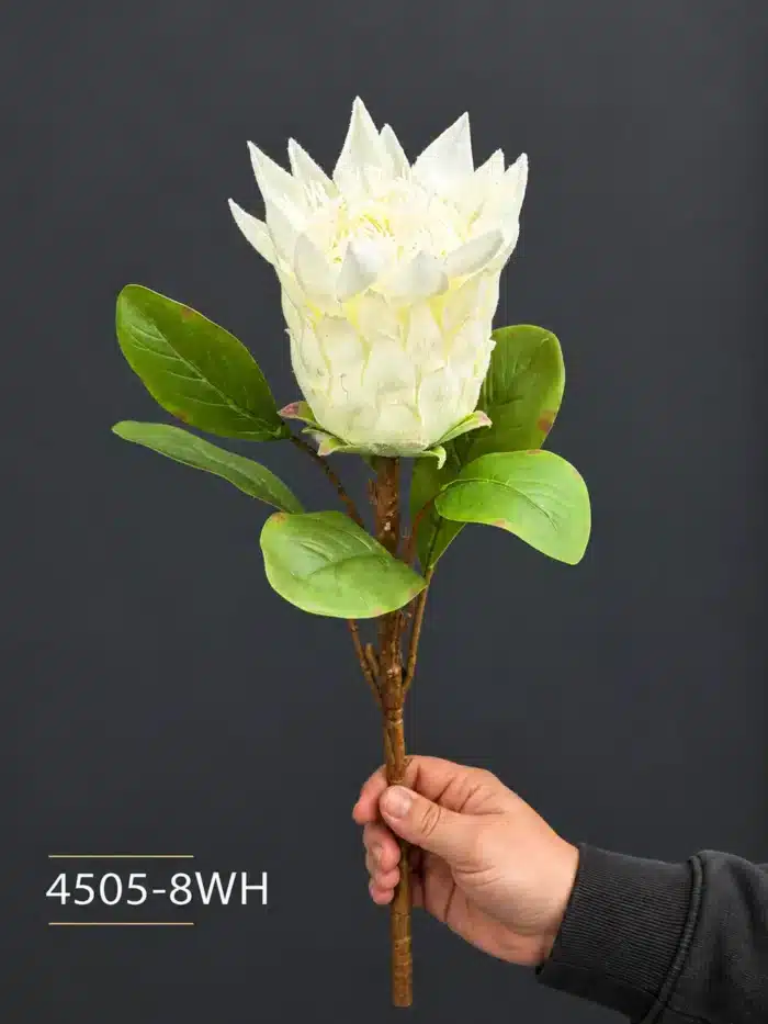 Protea 4505-8