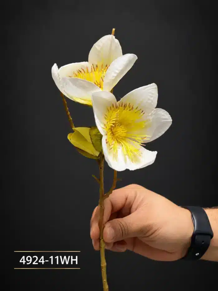 Magnolia 4924-11