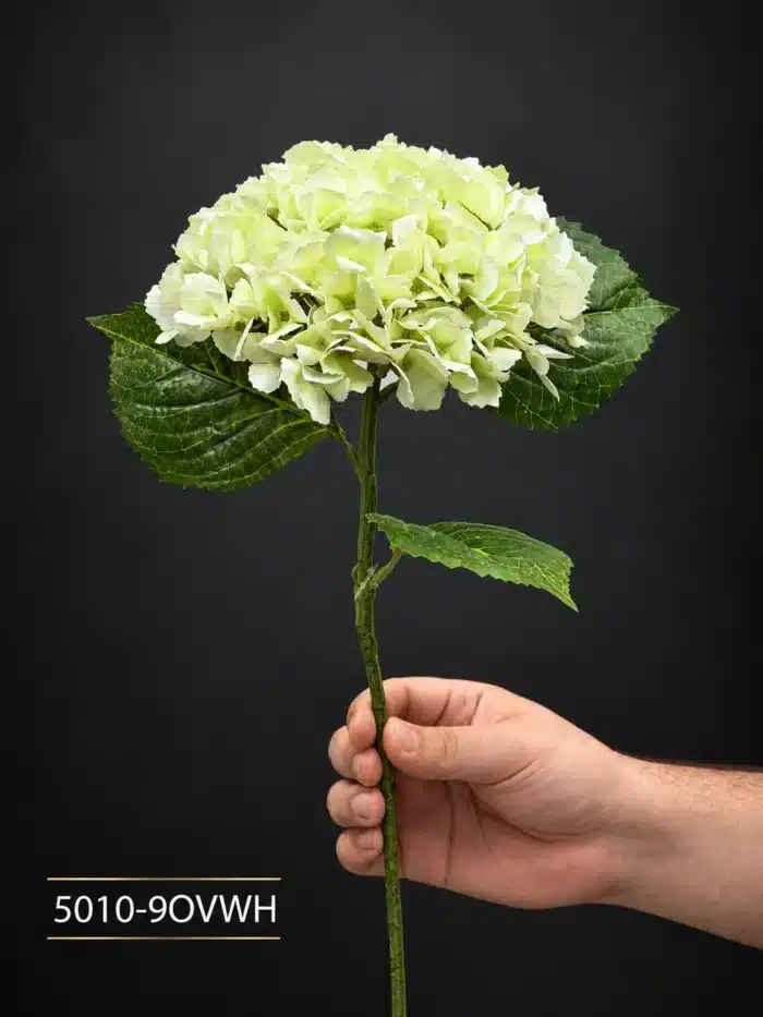 Hydrangea 5010-9