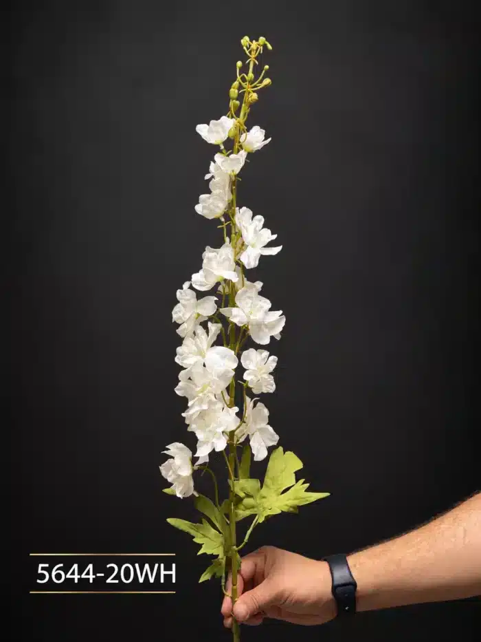 Delphinium 5644-20