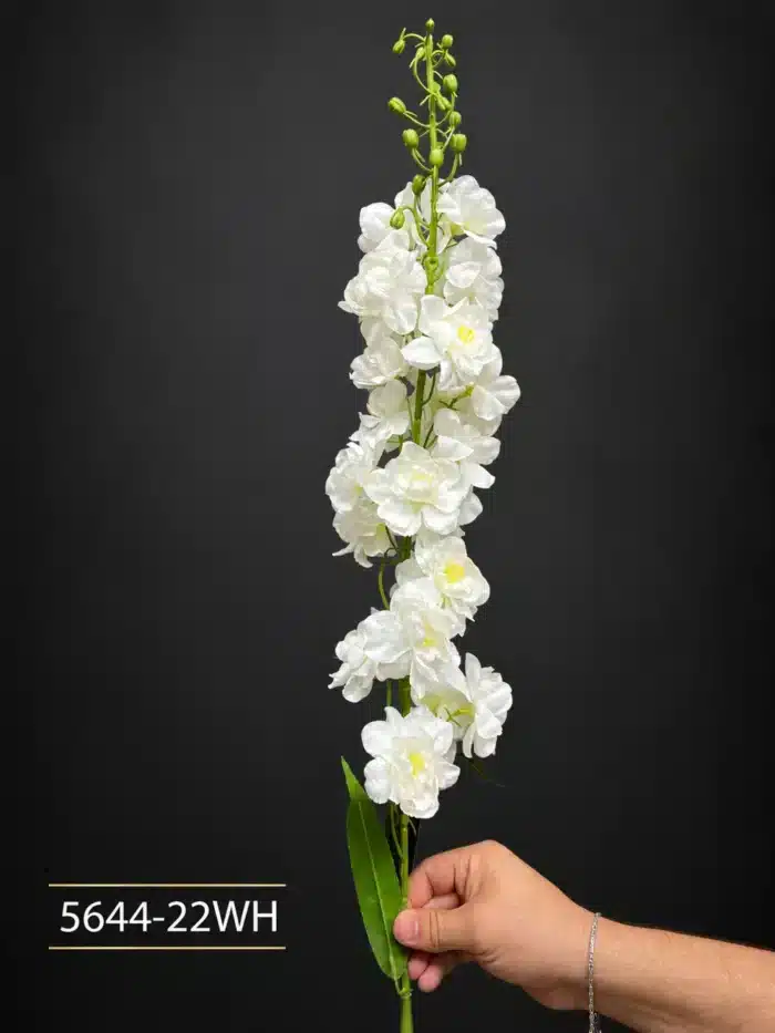 Delphinium 5644-22