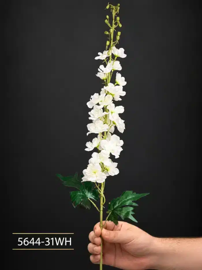 Delphinium 5644-31