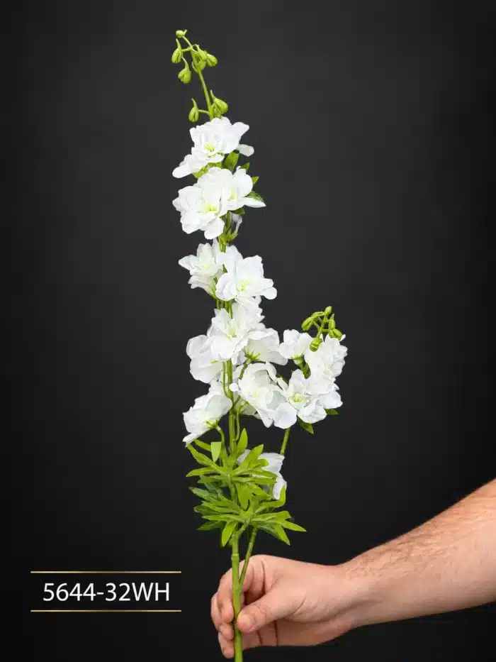 Delphinium 5644-32