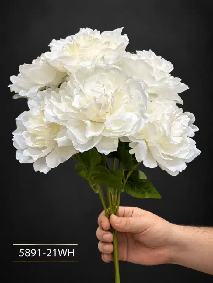 Peony 5891-21