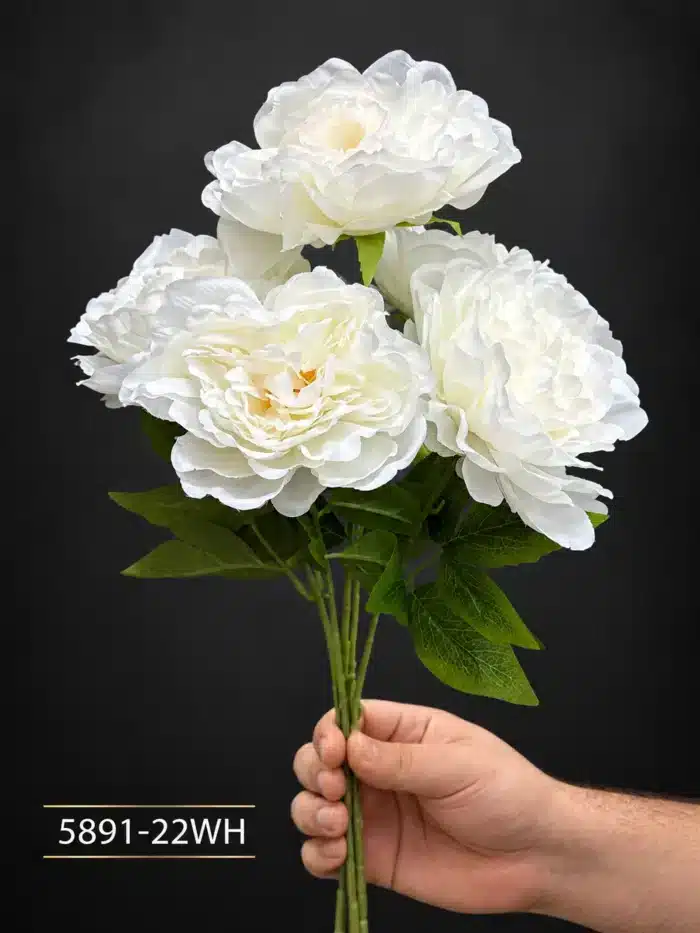 Peony 5891-22