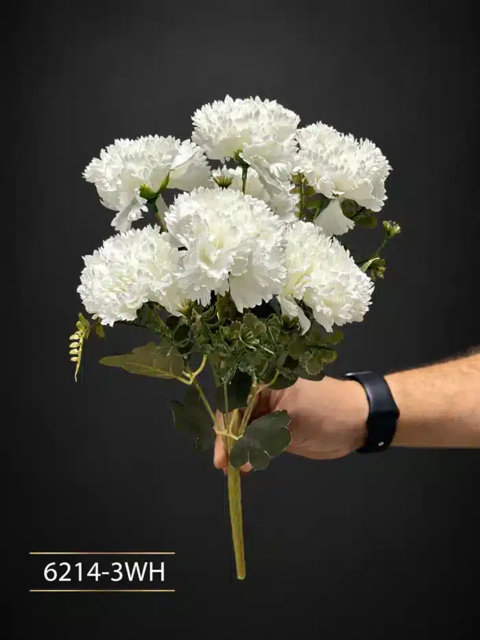 Carnation 6214-3