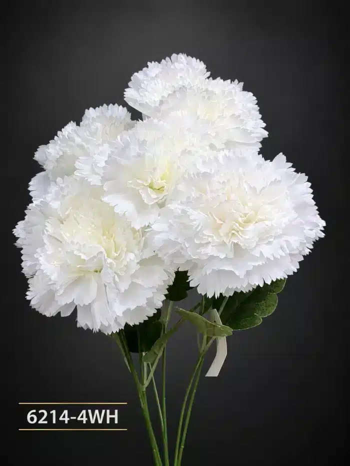Carnation 6214-4
