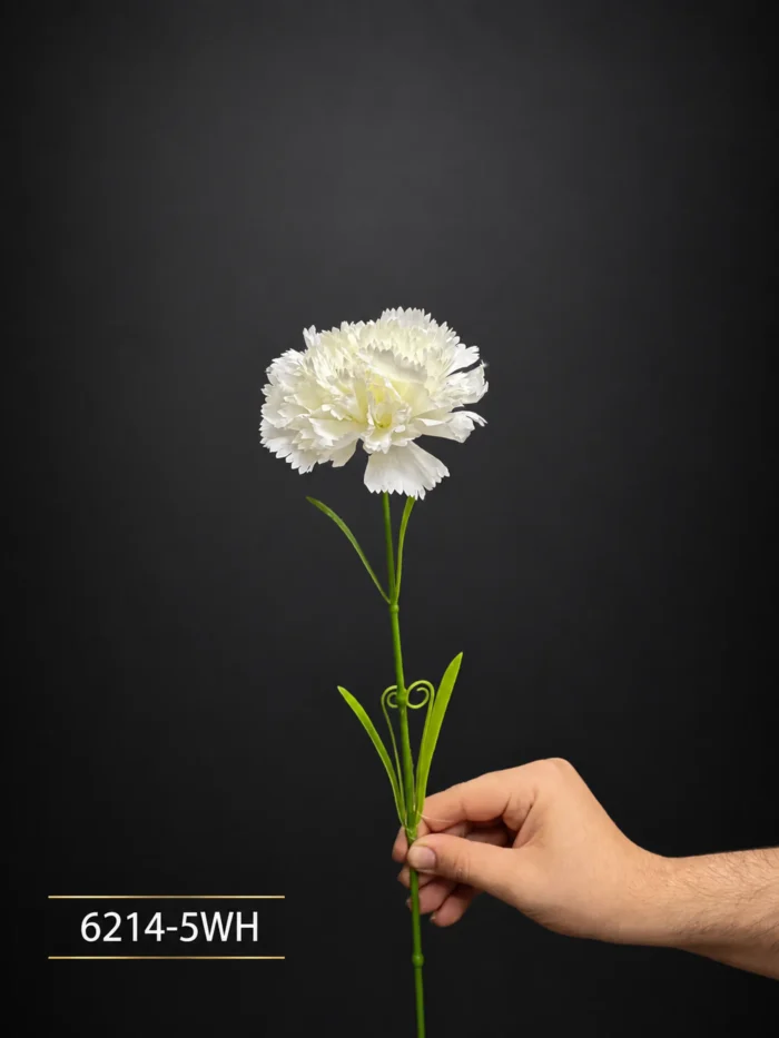 Carnation - MA6214-5WH
