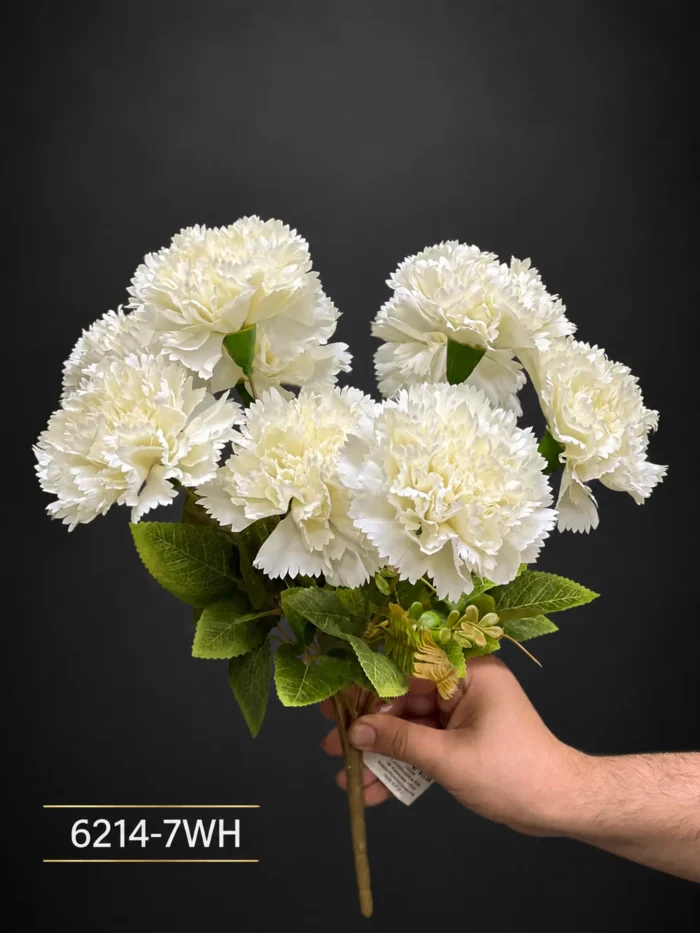 Carnation - MA6214-7WH