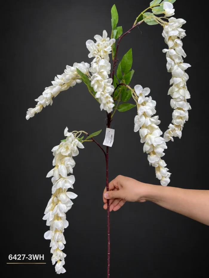 Wisteria Branch 6427-3