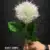 MA6451-6 White
