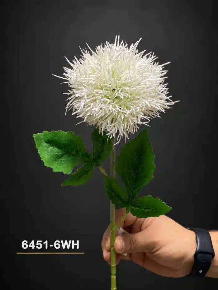 Spider Chrysanthemum 6451-6