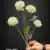 MA6451-7 White
