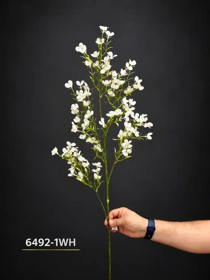 Accessories 6492-1