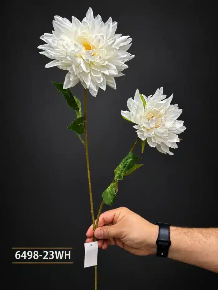 Dalia 6498-23WH