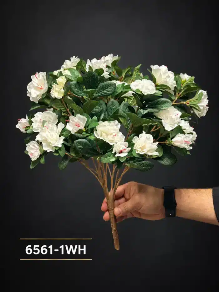 Azalea Bush 6561-1