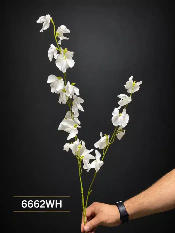 Sweet Pea Branch 6662