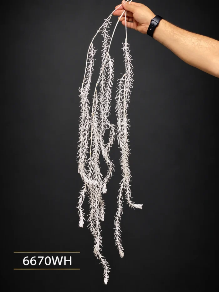 Hanging Amaranthus 6670