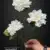 MA6694 White