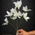 MA6699 White