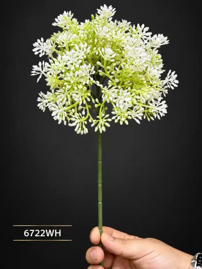 Allium Ball 6722