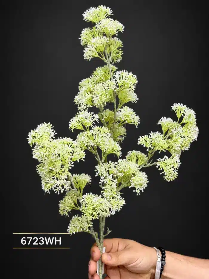 Elderflower Spray 6723