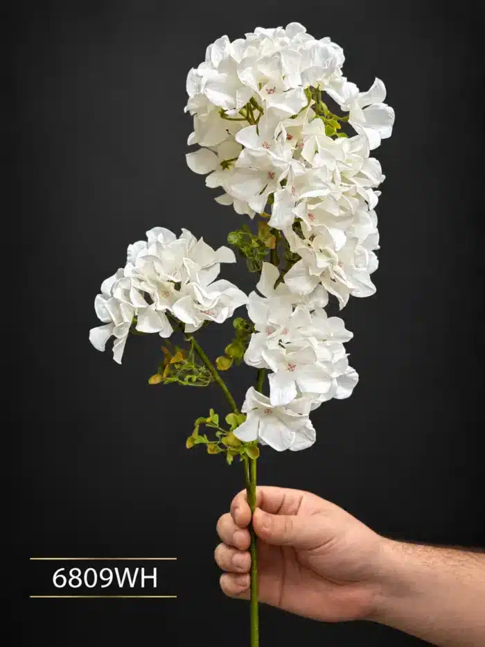 Lilac Spray 6809
