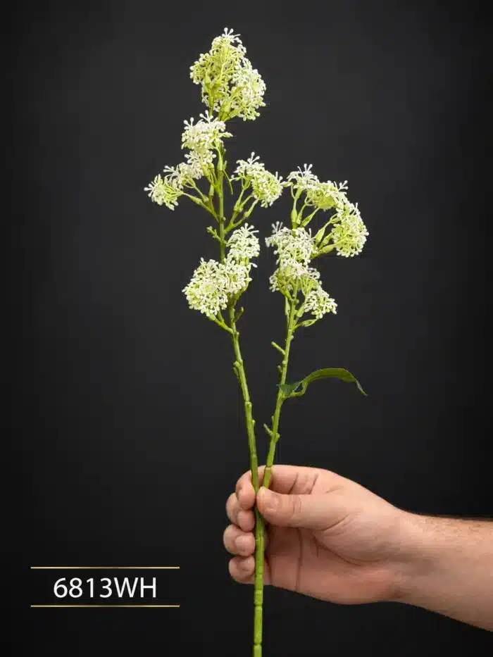 Elderflower Spray 6813