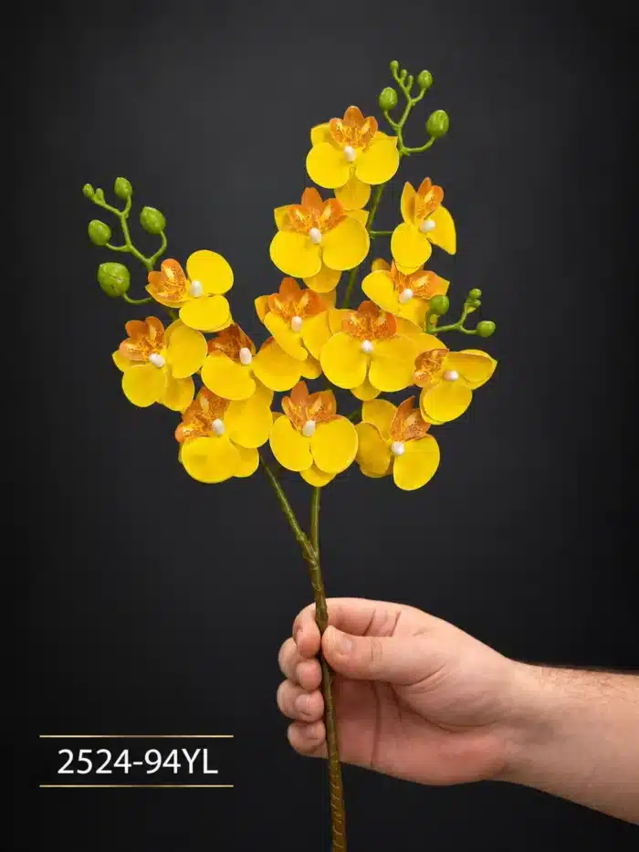 Orchid 2524-94