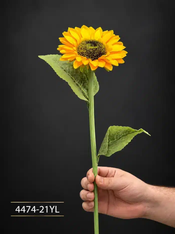 Sunflowers - 4474-21