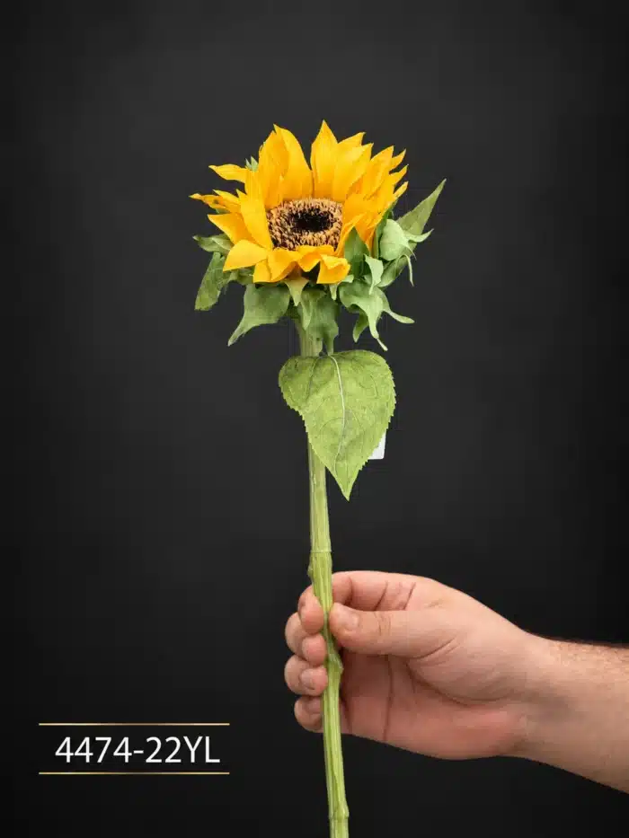 Sunflower 4474-22
