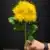 MA6451-6 Yellow