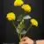 MA6451-7 Yellow