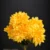MA6724-2 Yellow