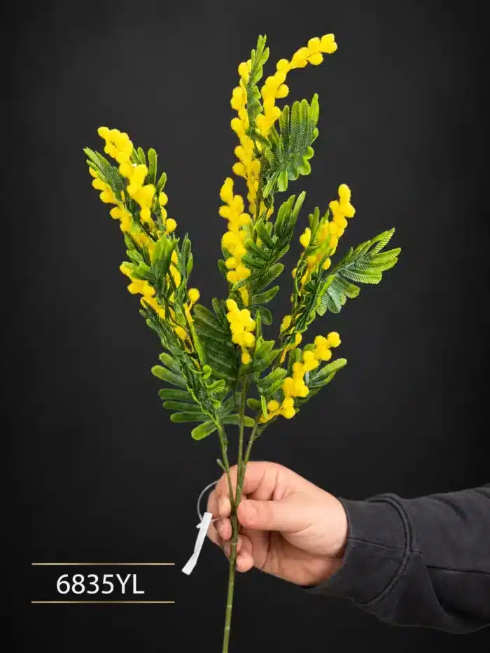 Mimosa Branch 6835